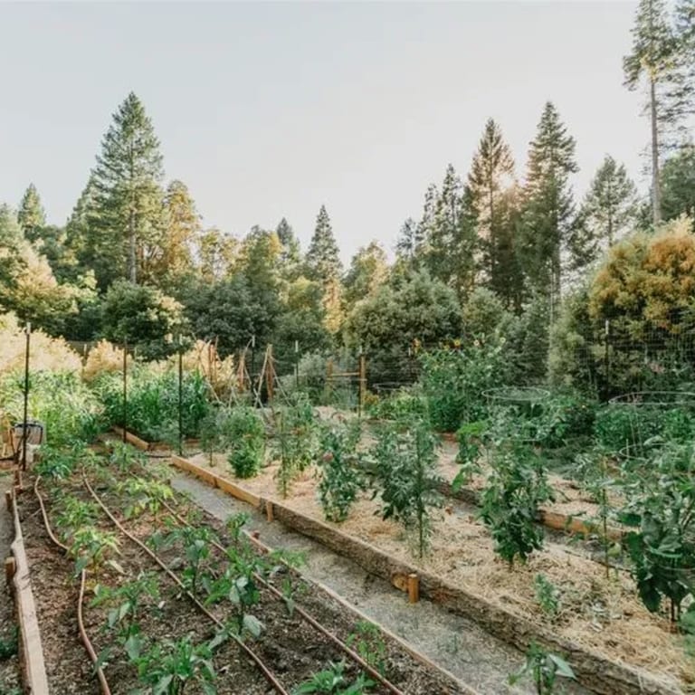 Stone House Farms — Est. 2020