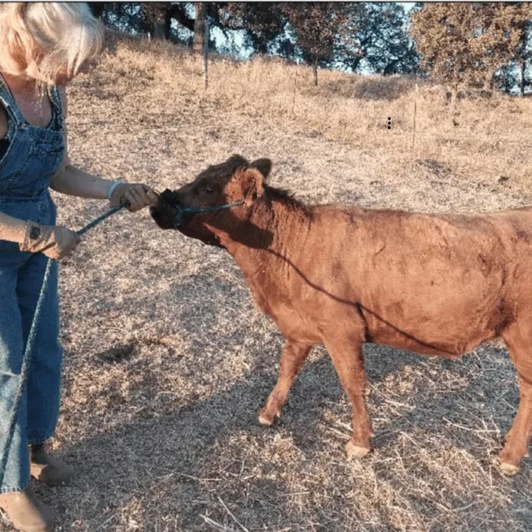 Family Farms Keep It Local